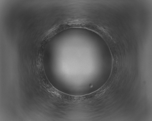 X0000054421350200508011347