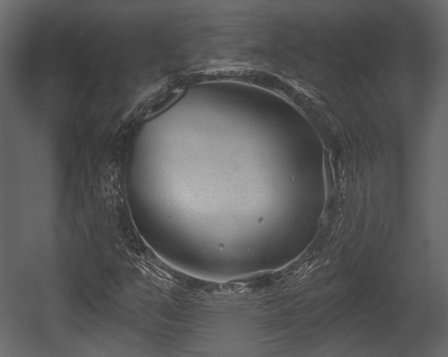 X0000054421351200508011347