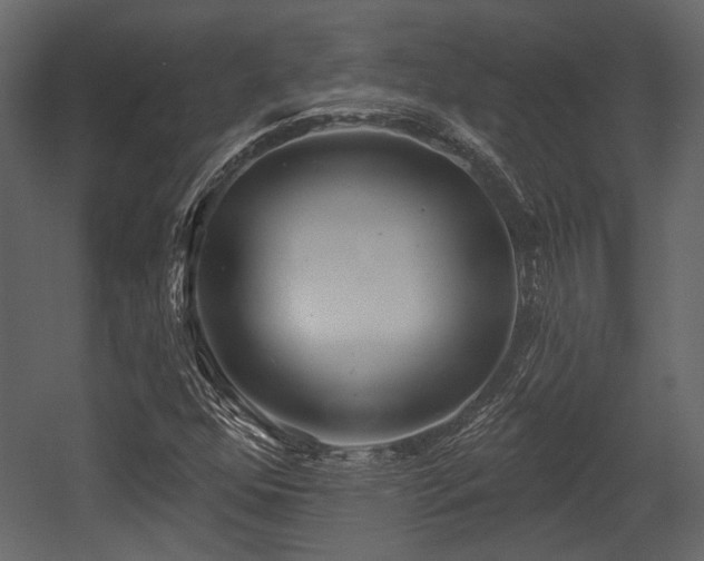 X0000054421352200508011347