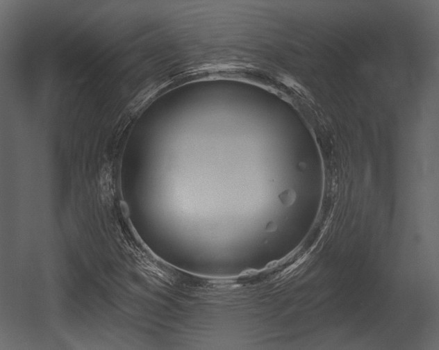 X0000054421353200508011347