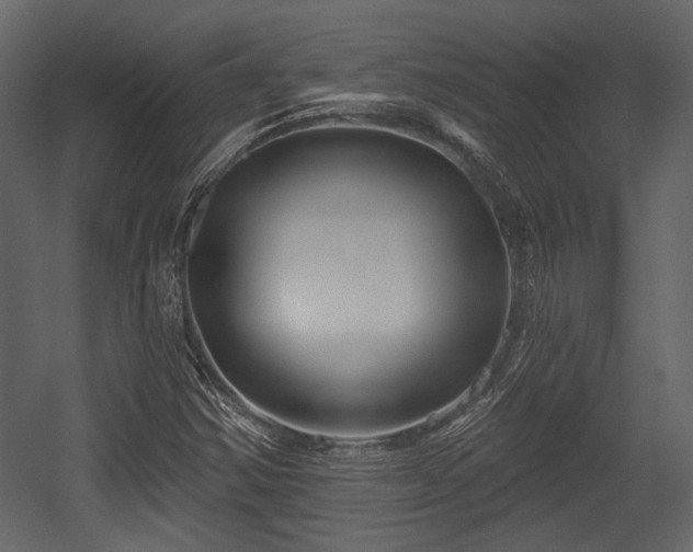 X0000054421354200508011347