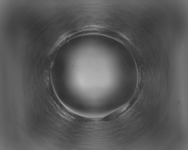 X0000054421355200508011346