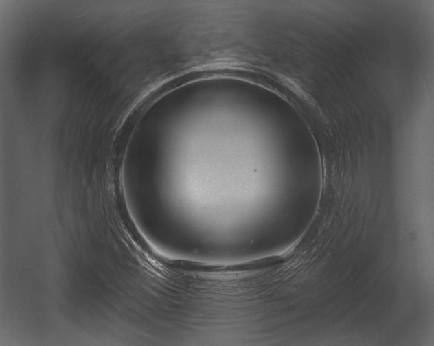 X0000054421356200508011346