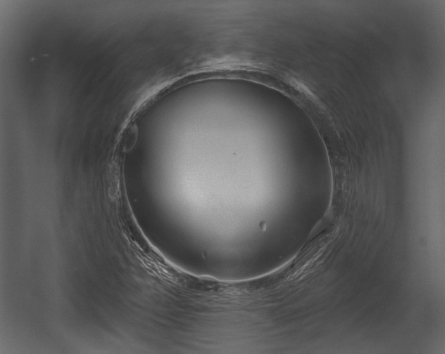 X0000054421358200508011346