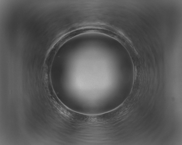 X0000054421360200508011346