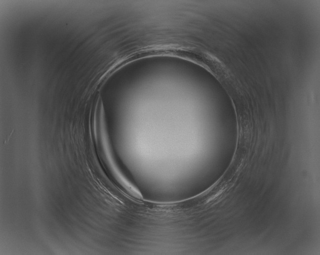 X0000054421361200508011346