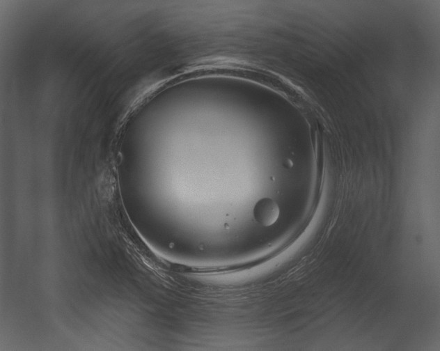 X0000054421363200508011346