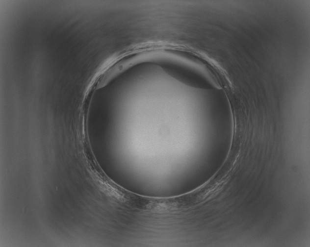 X0000054421365200508011346