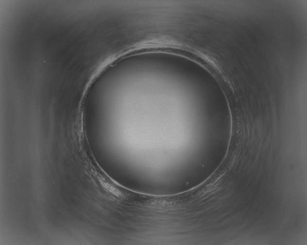 X0000054421366200508011346