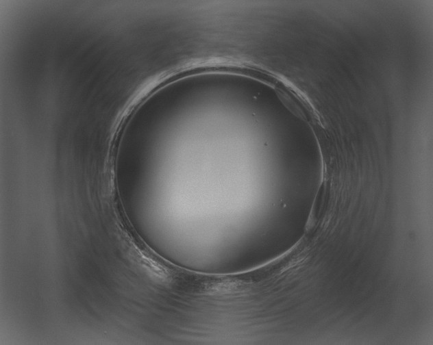 X0000054421367200508011346