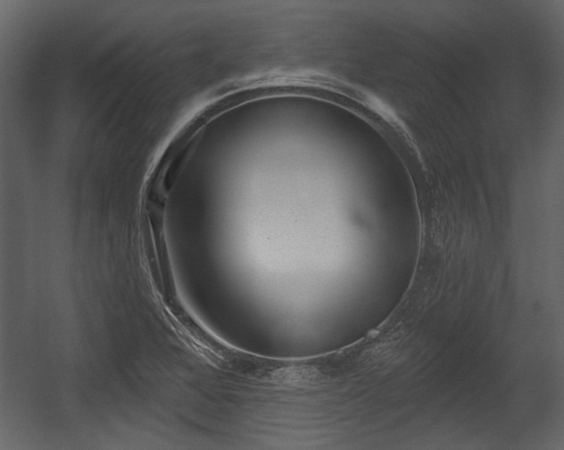 X0000054421368200508011346