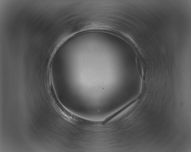 X0000054421371200508011346