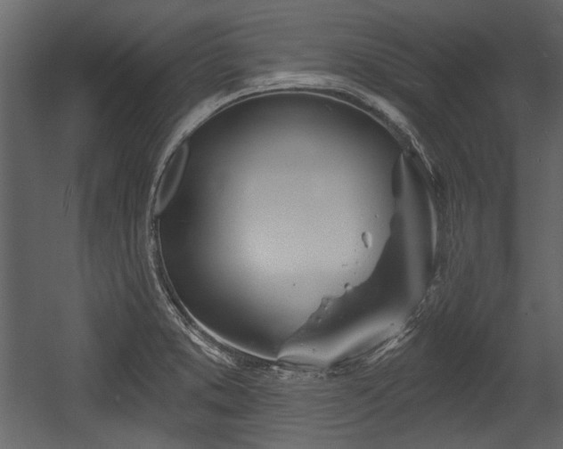 X0000054421373200508011346