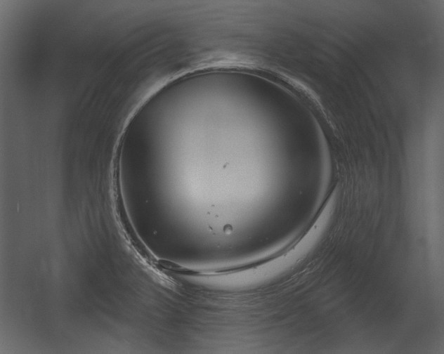 X0000054421375200508011346