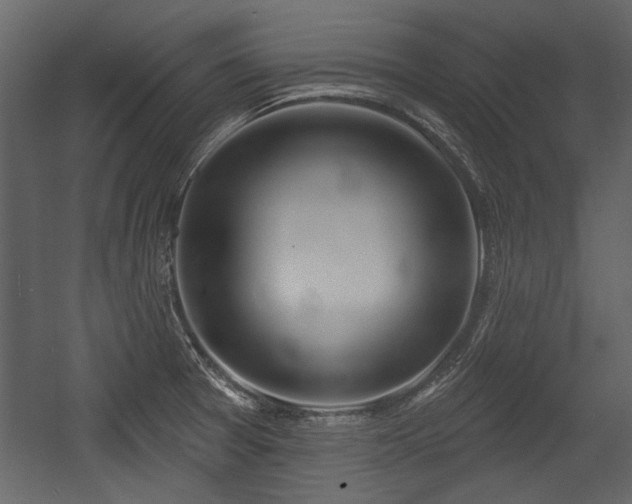 X0000054421377200508011346