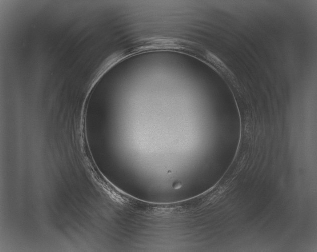 X0000054421378200508011346