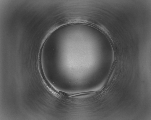 X0000054421379200508011346