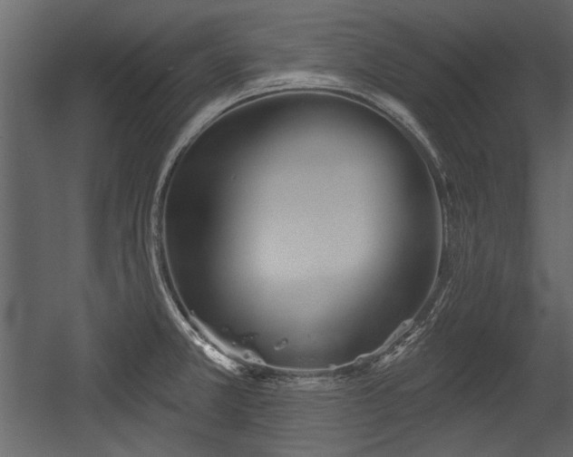 X0000054421381200508011346