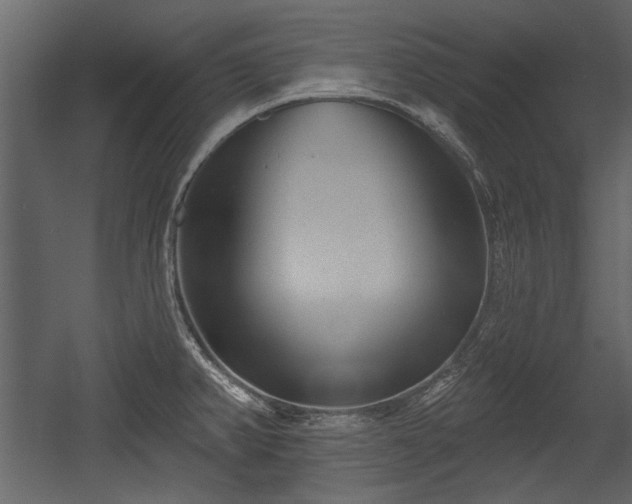 X0000054421382200508011346