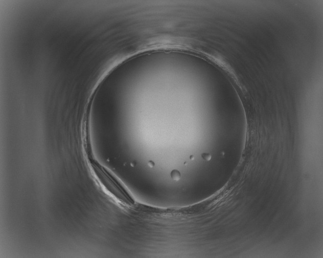 X0000054421383200508011346