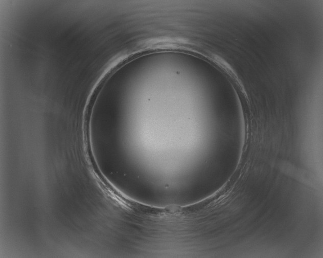 X0000054421384200508011346