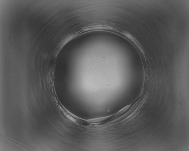 X0000054421385200508011346