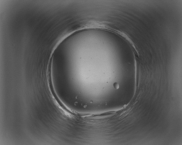 X0000054421387200508011346