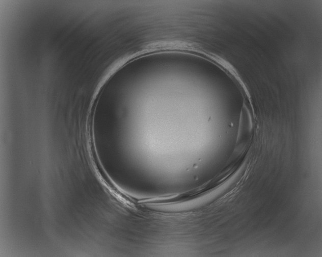 X0000054421389200508011346