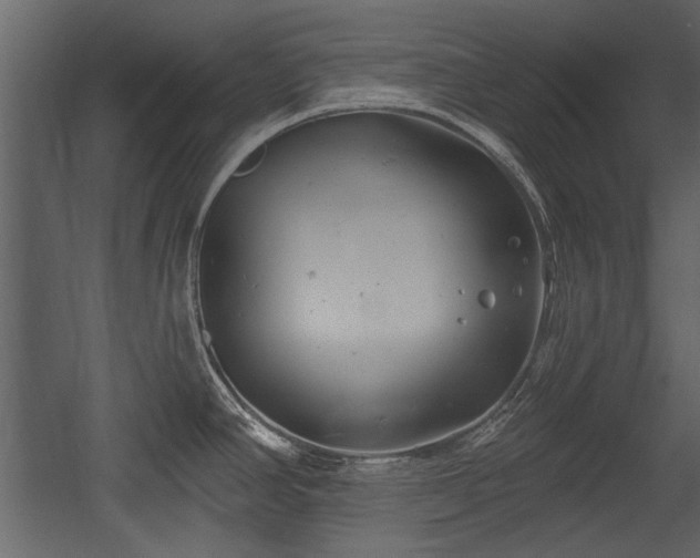 X0000054421390200508011346