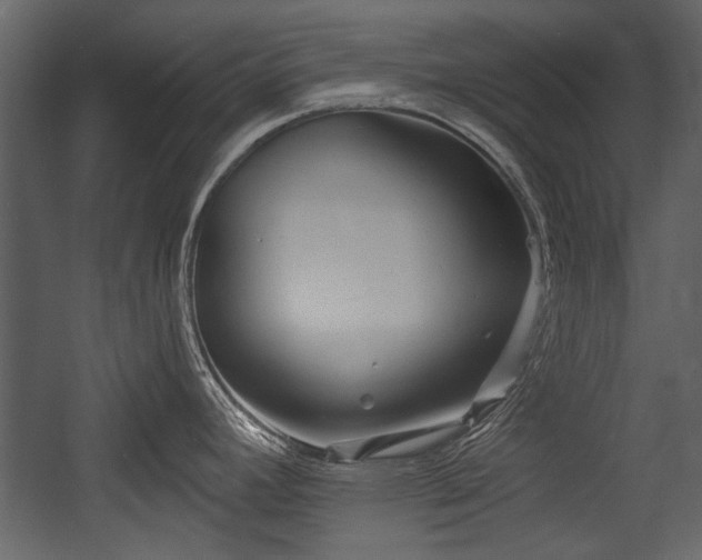 X0000054421392200508011346