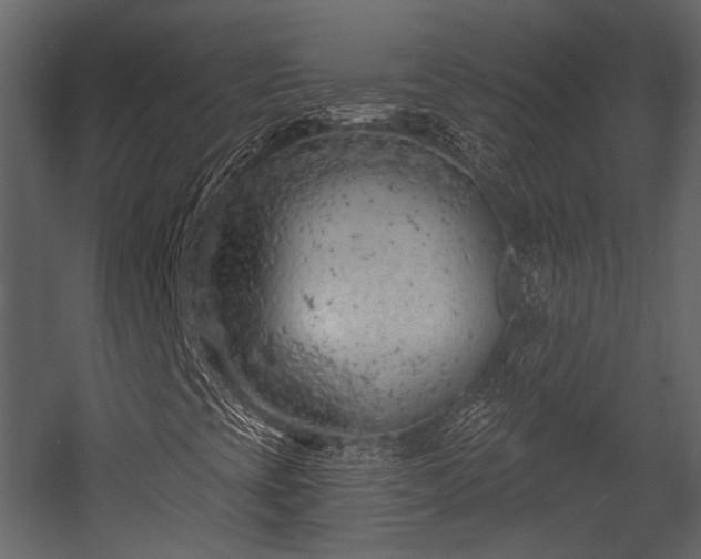 X0000054421393200508011345