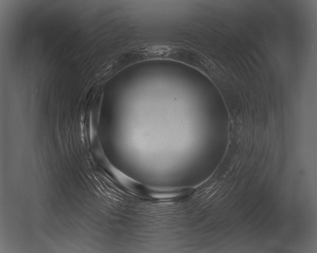 X0000054421394200508011345