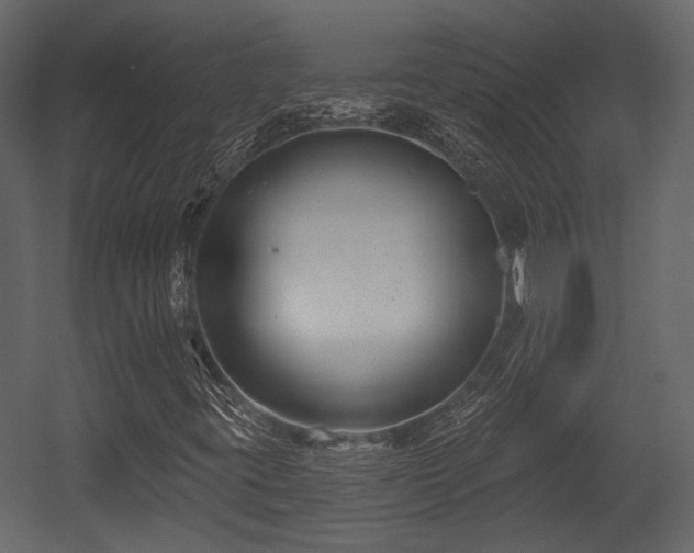 X0000054421395200508011345