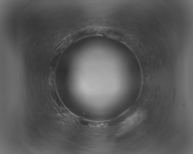 X0000054421397200508011345