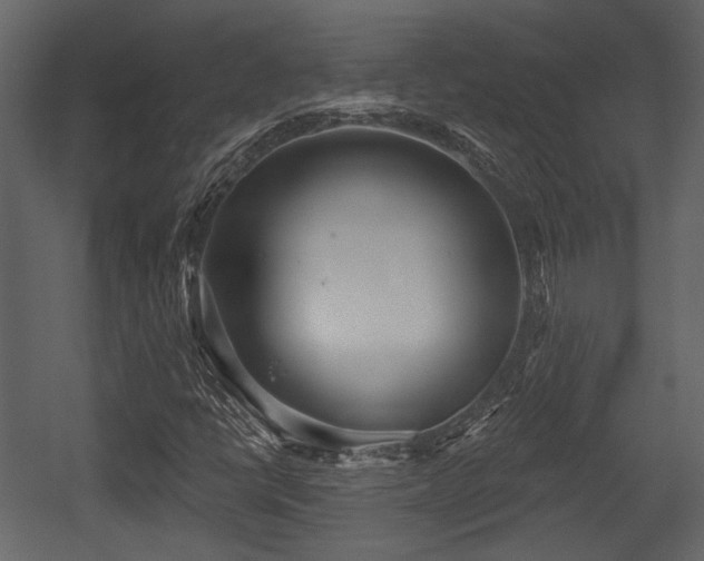 X0000054421398200508011345