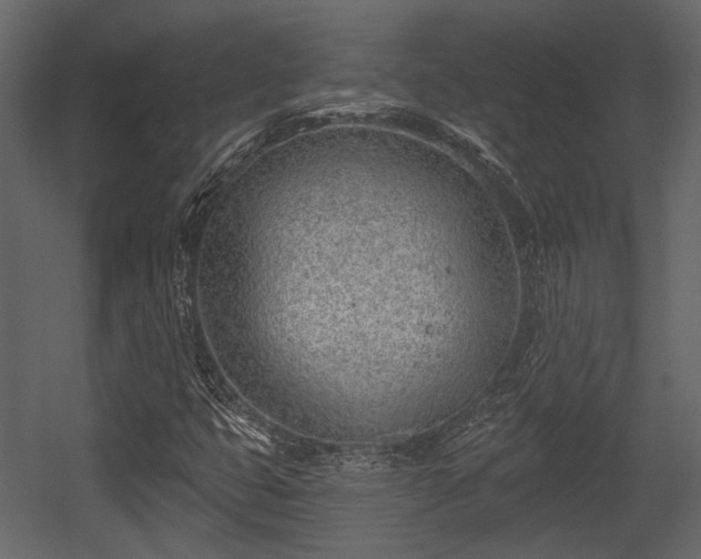 X0000054421399200508011345