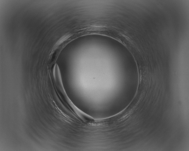 X0000054421402200508011345