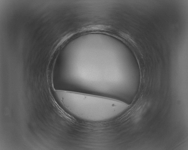 X0000054421404200508011345