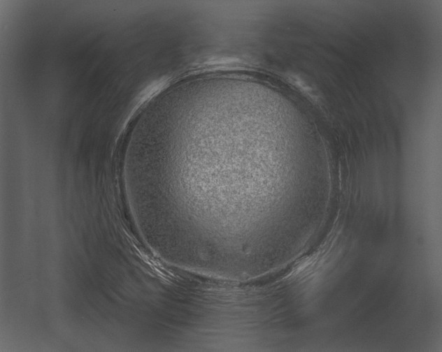 X0000054421405200508011345