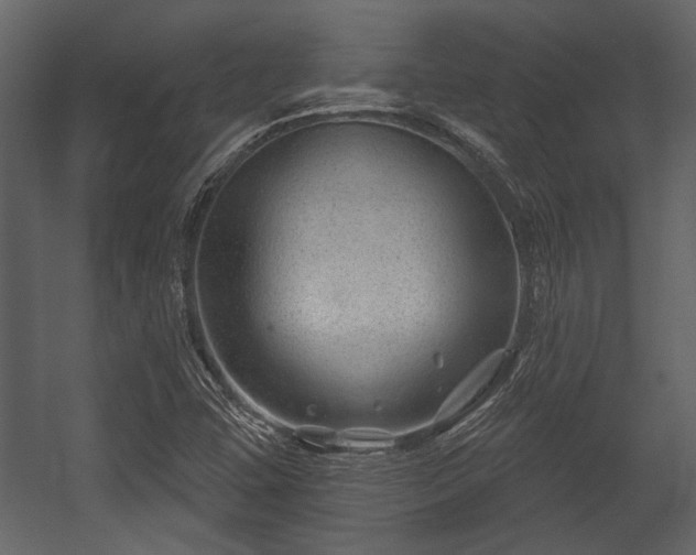 X0000054421407200508011345