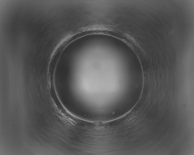 X0000054421408200508011345