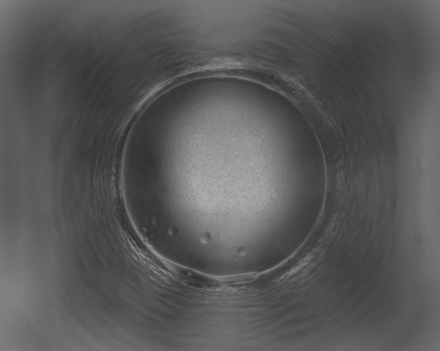 X0000054421409200508011345