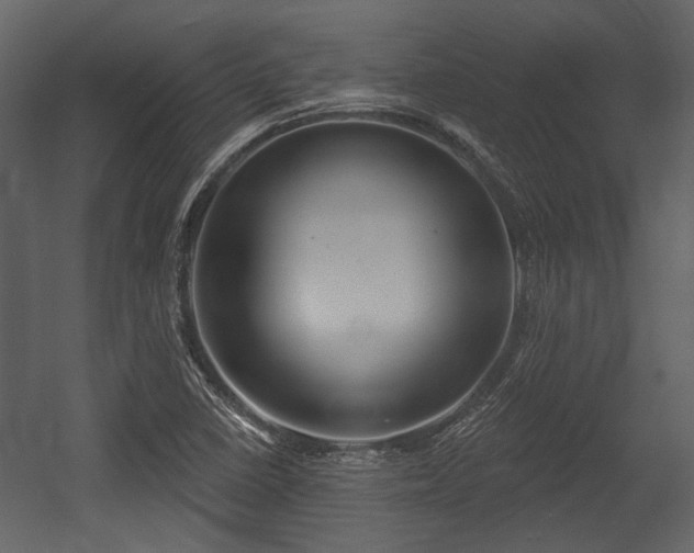 X0000054421410200508011345