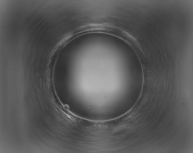 X0000054421411200508011345