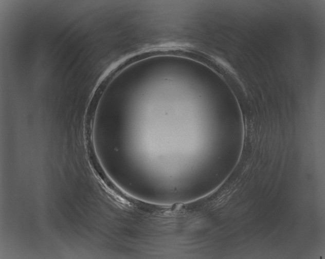 X0000054421412200508011345