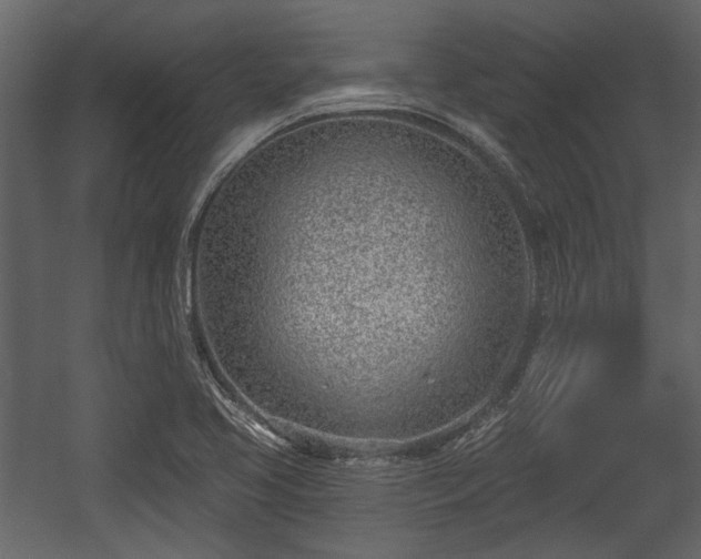 X0000054421413200508011345