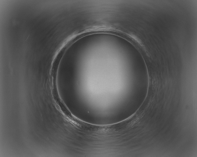 X0000054421414200508011345