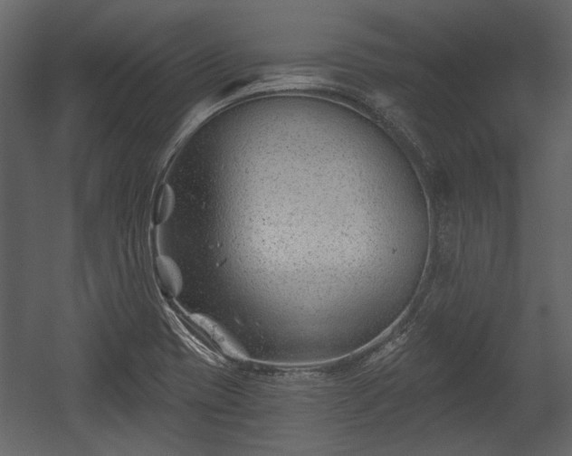 X0000054421417200508011345