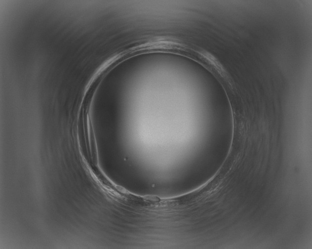 X0000054421418200508011345