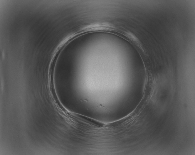 X0000054421419200508011345